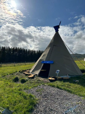 Shandon tipi